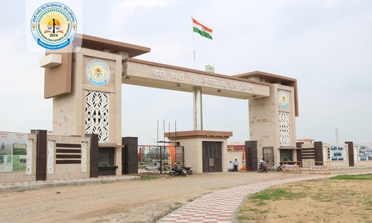 There will be permanent recruitment of professors in CRSU