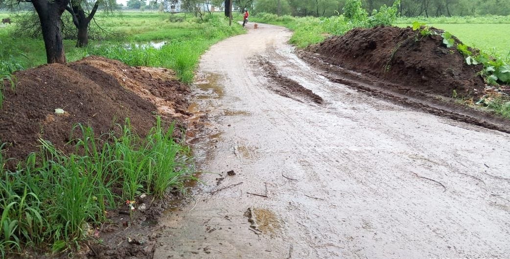 Mosquitoes increase in Terai, fear of spread of dengue along with malaria