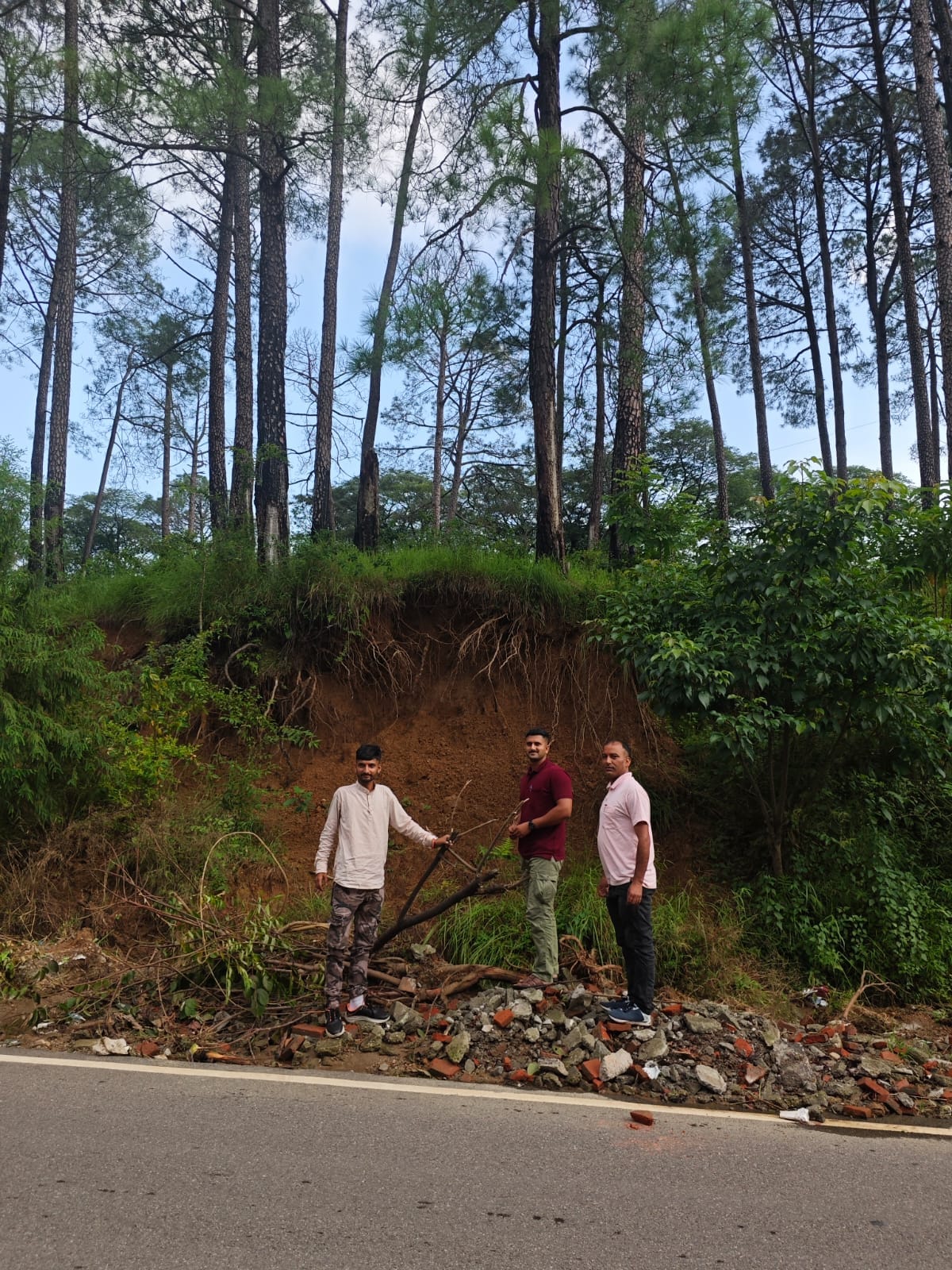 The department swung into action, inspected trees that became a threat