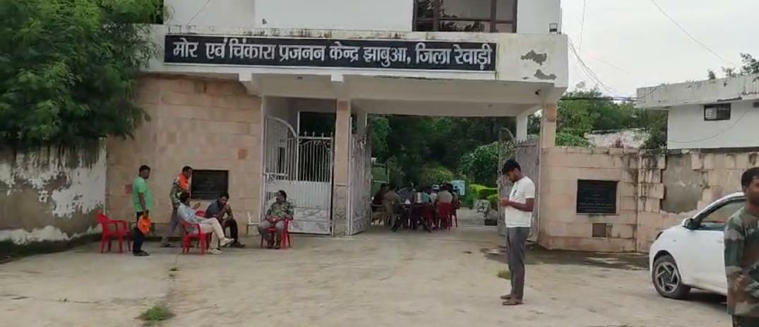 Forest department will now resort to hunting to catch the tiger
