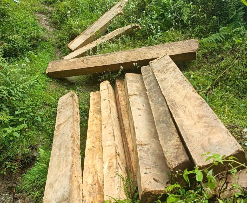54 cedar sleepers recovered in Sojha