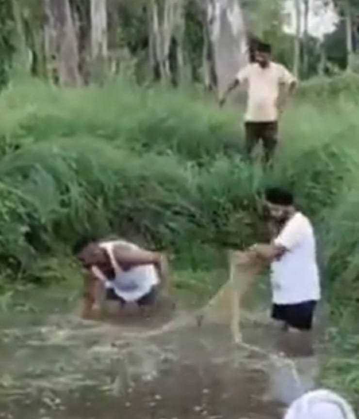 Crocodile seen near Murtajapur village, divers busy searching
