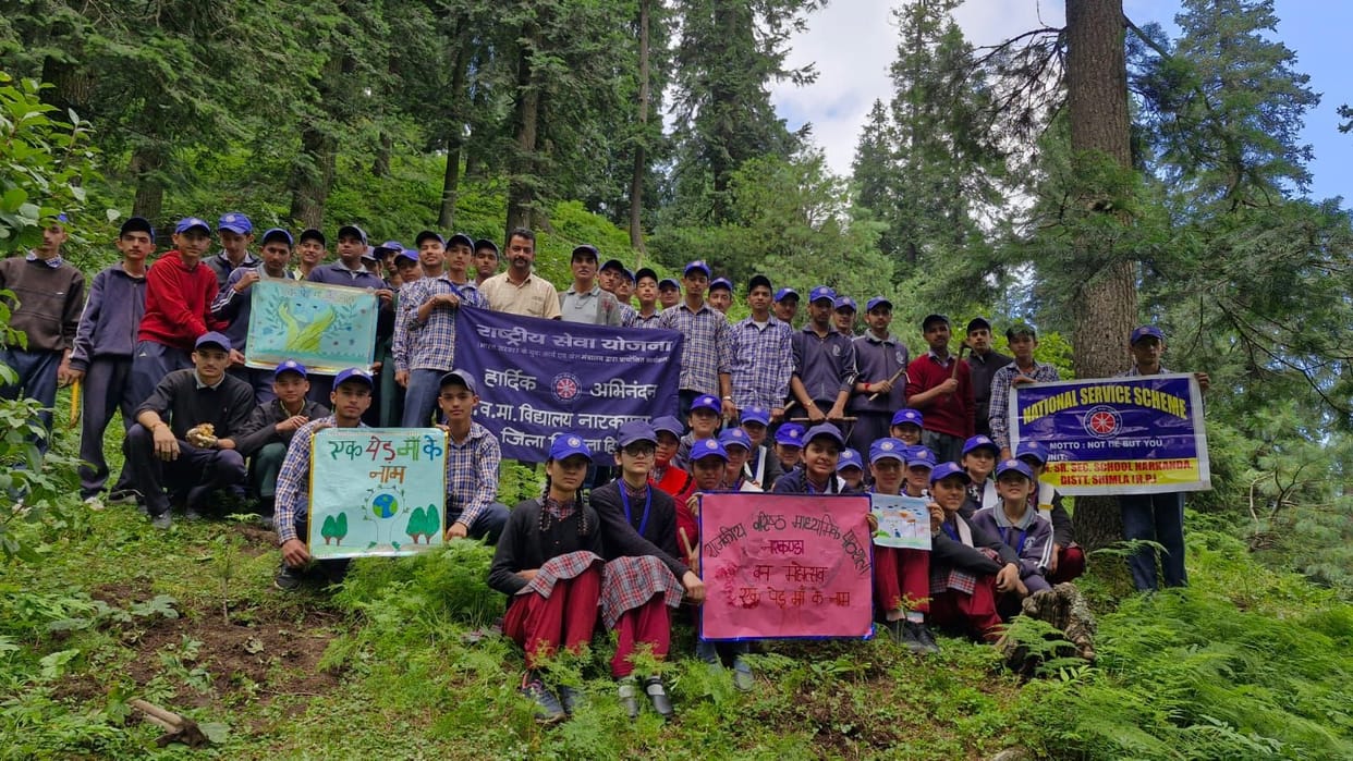Planted saplings in Narkanda giving message of environmental protection
