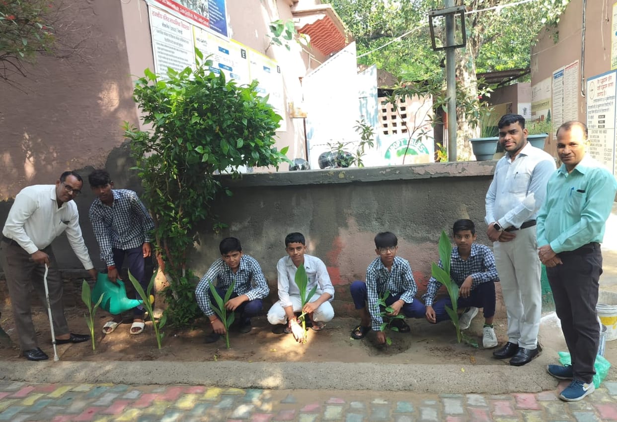 Plant medicinal plants at home during rainy season: Mukesh