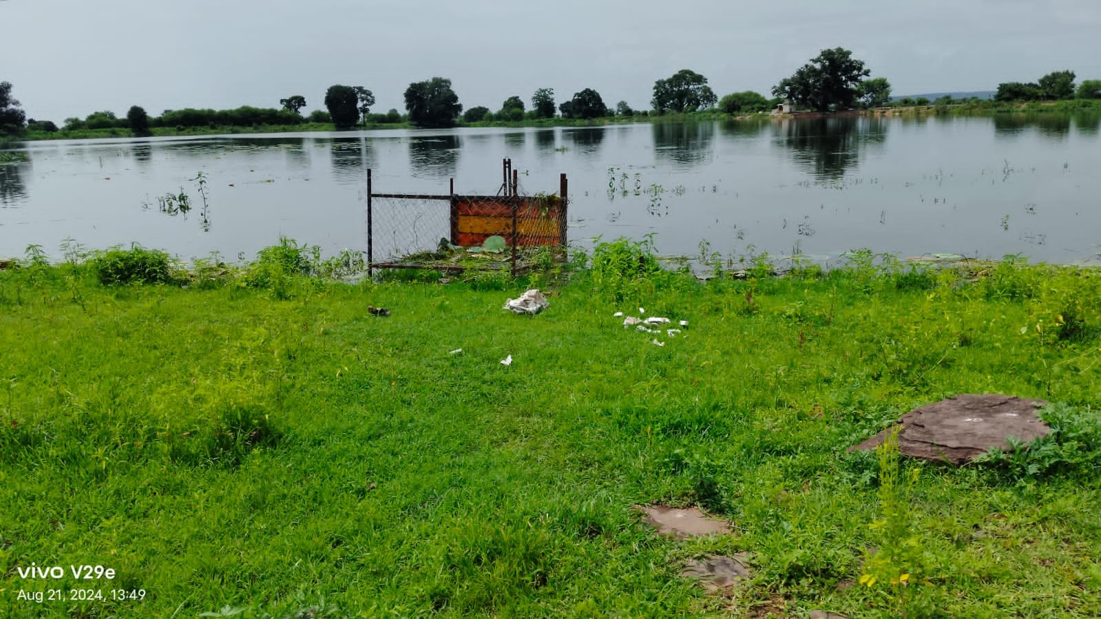 सागर में मगरमच्छ पकड़ने लगाया पिंजरा।