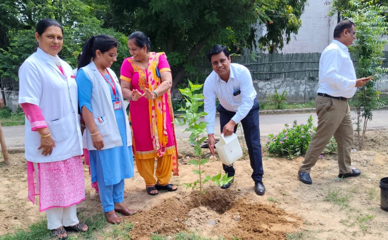To make the hospital green, everyone from doctor to class IV employee will plant saplings, 550 saplings received