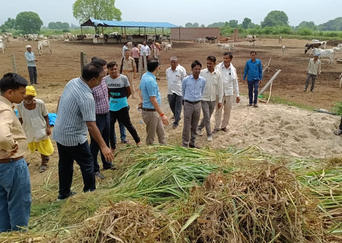 Death of animals at cow shelter, notice to Principal Secretary