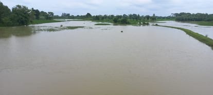Lucknow News: बढ़ रहा राप्ती नदी का जलस्तर, हो रही कटान Water level of Rapti river is increasing, erosion is taking place