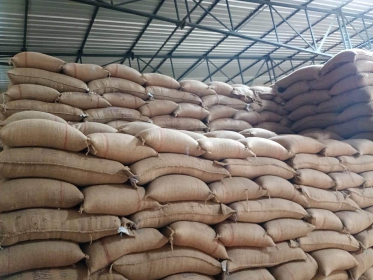 Damoh Unknown thieves stole 150 bags of wheat by breaking the lock from the warehouse