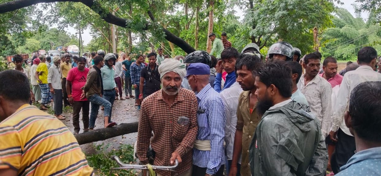 Tree fell due to rain, traffic remained closed for four hours on Kauwapur road