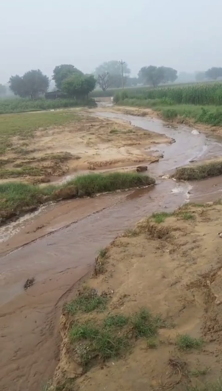 10 acres of crops submerged due to canal breaking, the canal had broken even a fortnight ago