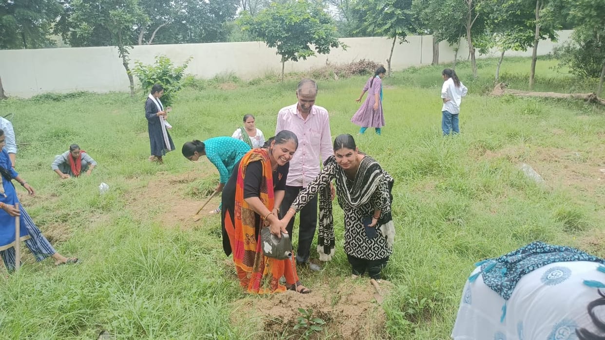 Planted saplings in Government Women's College