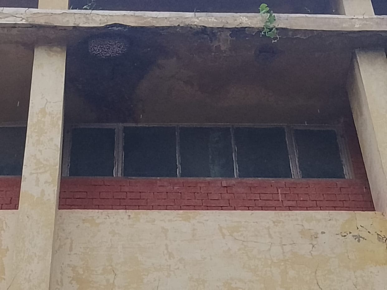 Elderly couple died in bee attack in Sultanpur