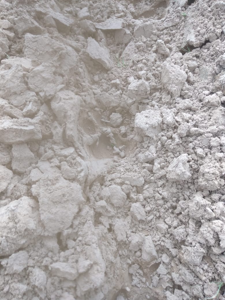 Leopard footprints seen in Bihali fields, panic among villagers