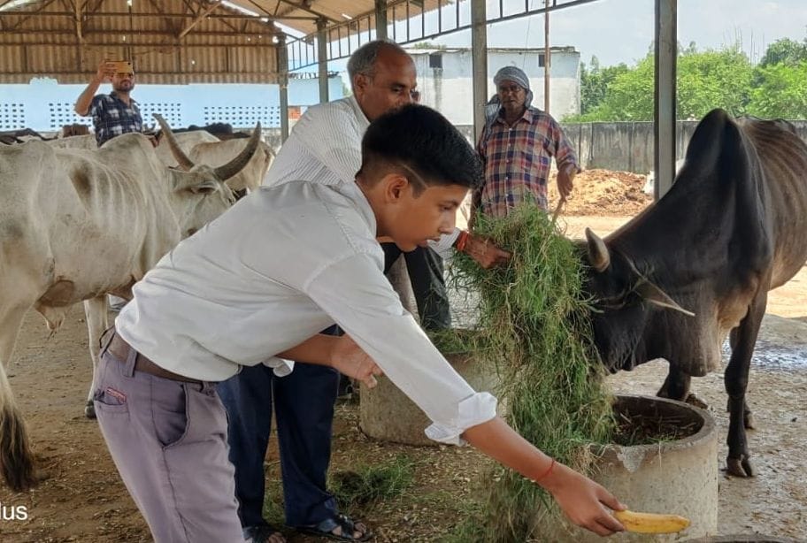 Cows were worshiped in cow shelters on Krishna Janmashtami.