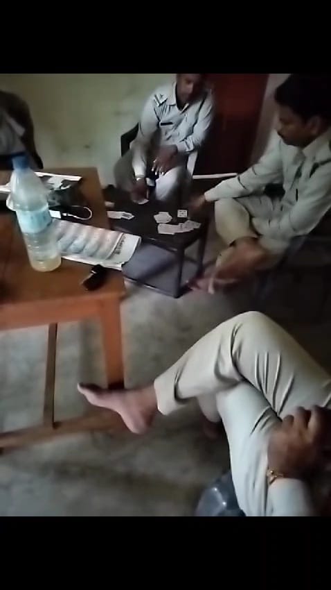 Damoh Video of forest personnel playing cards while on duty goes viral
