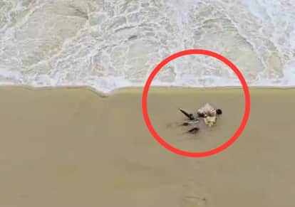 A sant was swept away in the flood of Mej river in bundi