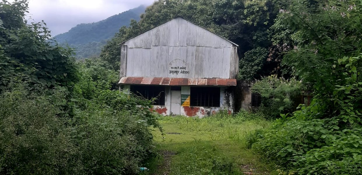 Bushes are growing on 45 acres of HMT land, buildings are in ruins
