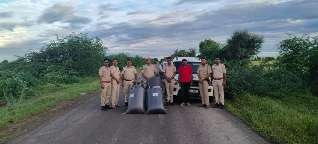 Jalore News: A smuggler arrested with 471 kg of illegal doda poppy, worth 71 lakh in the market