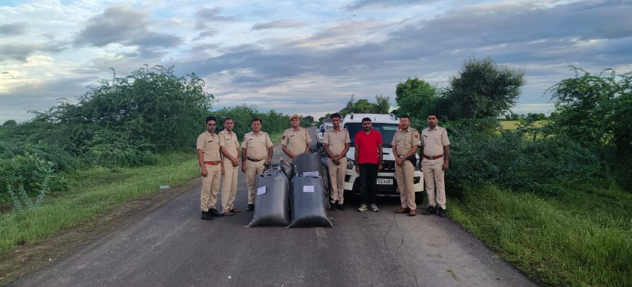 Jalore News: A smuggler arrested with 471 kg of illegal doda poppy, worth 71 lakh in the market