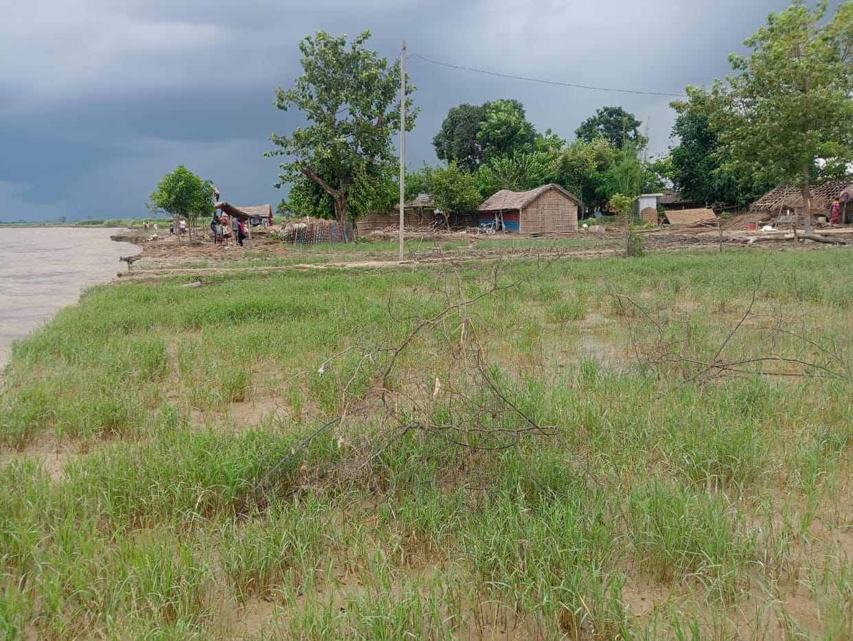 Mohana cut three houses, Naya Pind village is on the verge of extinction