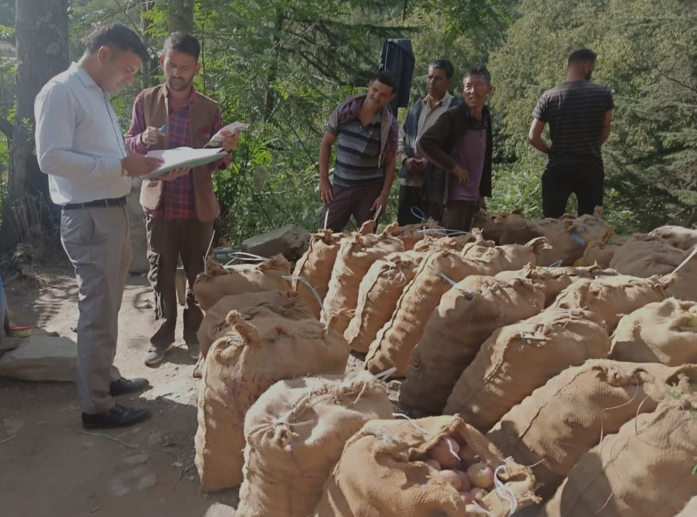 SDM inspected many apple collection centers of Tikkar
