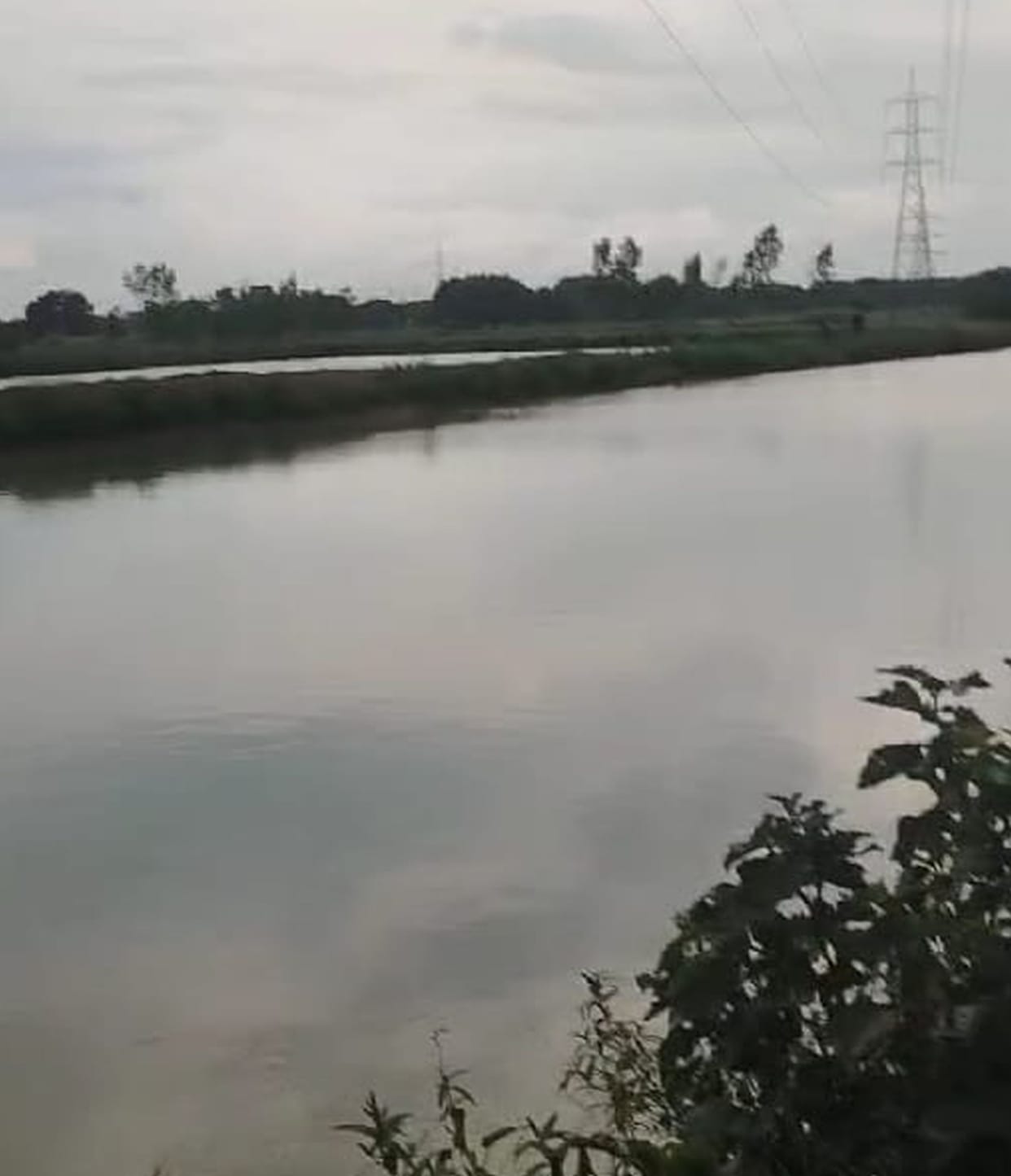 Nanka earned a net profit of Rs 4.2 lakh from fishing.