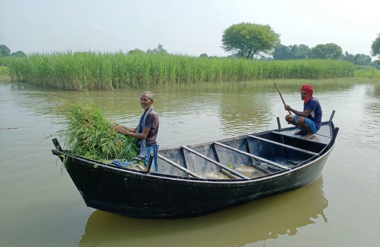 The water level of Saryu river has decreased, boats are still running on the entire route of Prasad