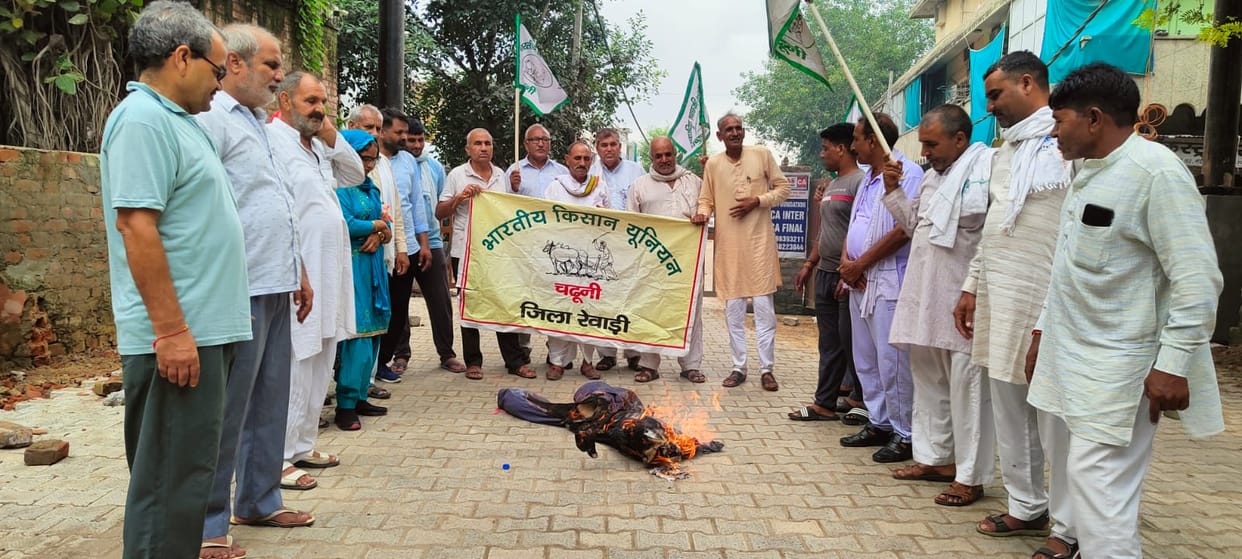 Farmers burnt effigy of BJP MP