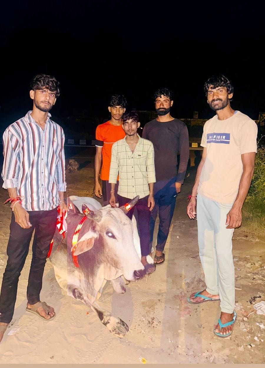 Gau Raksha Dal tied radium belts to the helpless cattle roaming around the highway