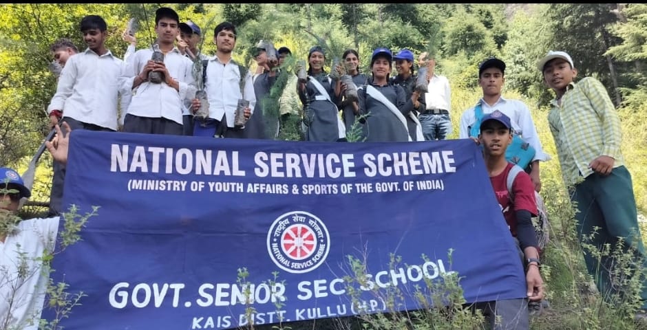 Volunteers planted 100 cedar saplings in soil