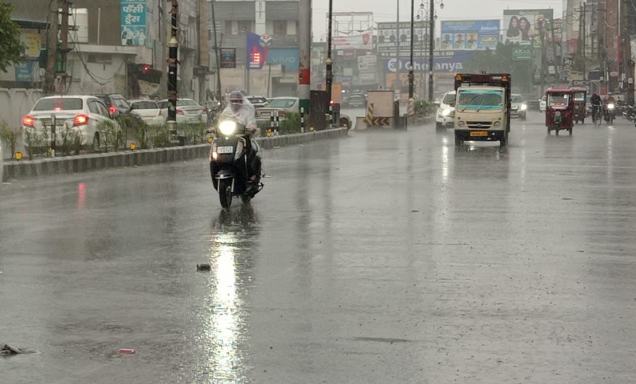 Relief from rain, faces of paddy farmers blossomed