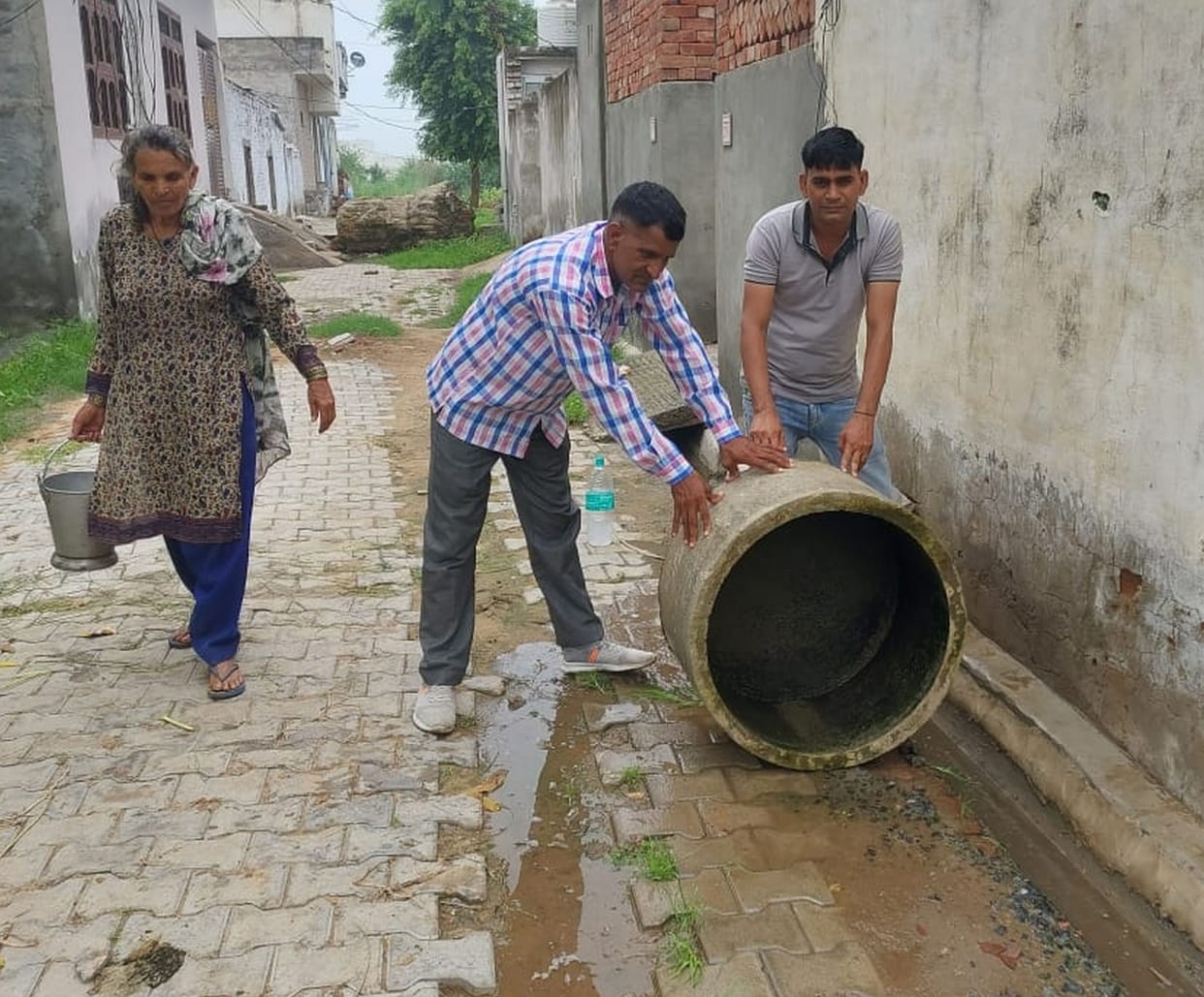 larwa found in 836 houses