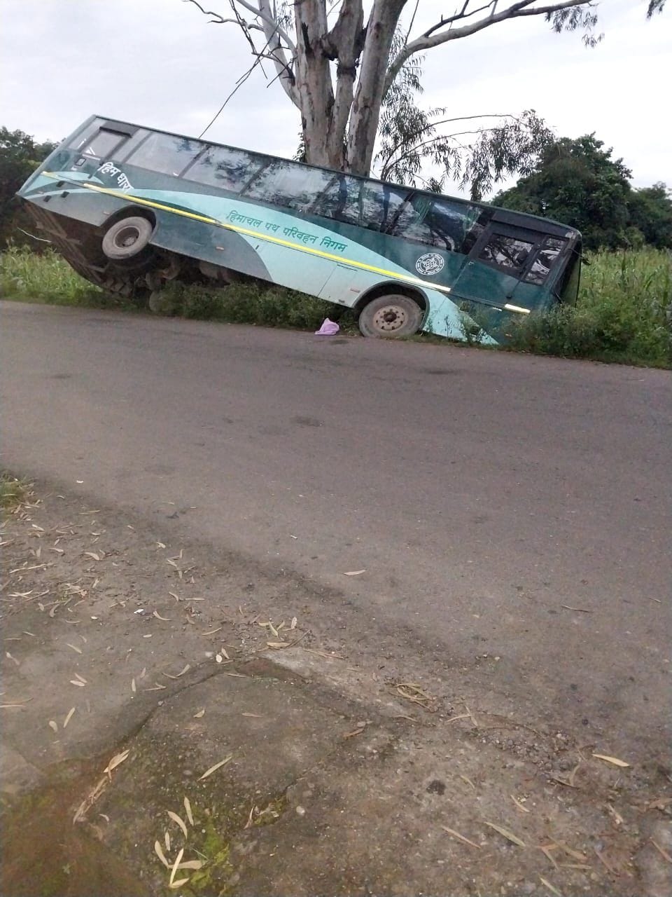 Government bus collides with a tree in Pathankot, 24 passengers have a narrow escape