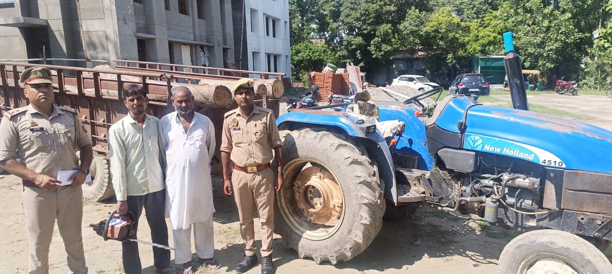 Disclosure: Wood stealing gang busted, two arrested