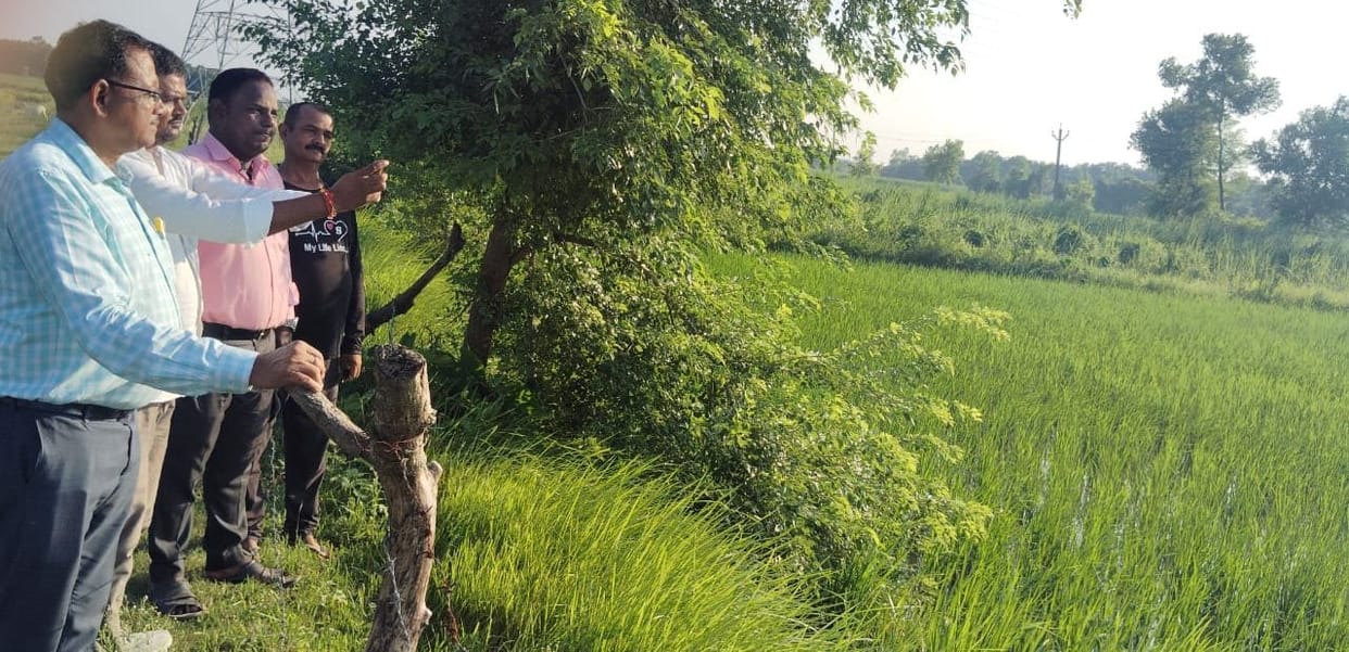 Panchayat assistants gave up on doing e-crop survey