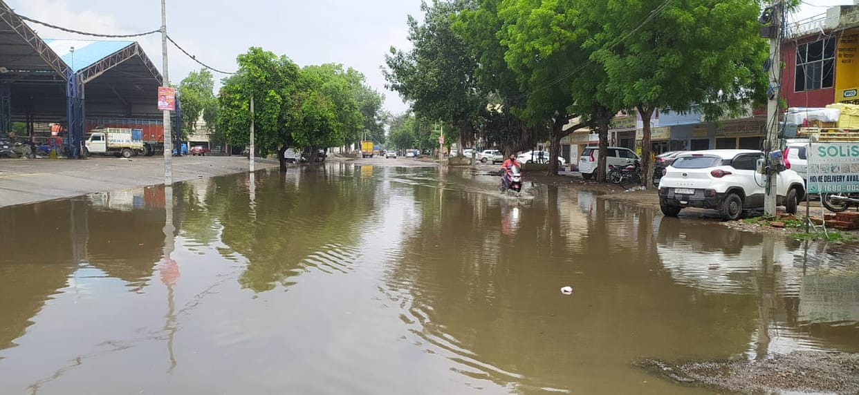 Rain proved to be a boon for the crop