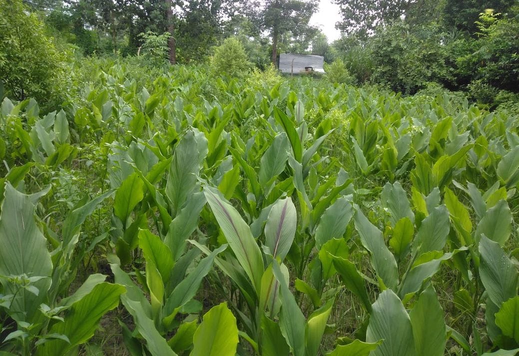 Two-day farmer seminar concluded under National Agricultural Development Scheme in Bahraich