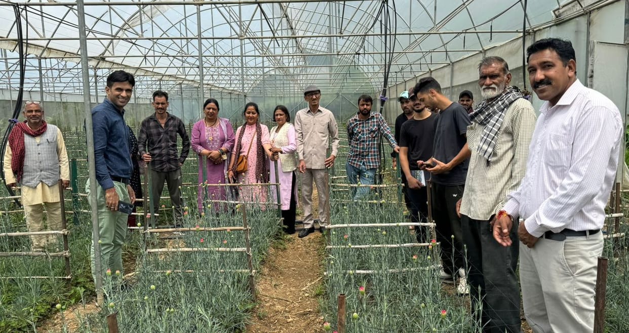 Training given on techniques of commercial rose cultivation
