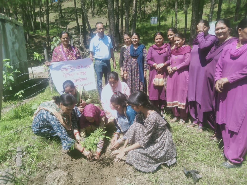 plantation programme in panchvati