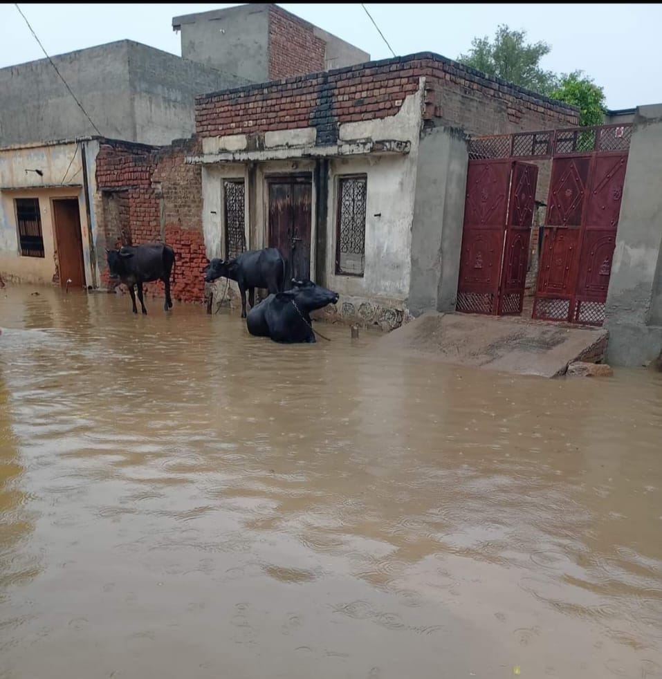 The name of the village is simple but the problems are very difficult