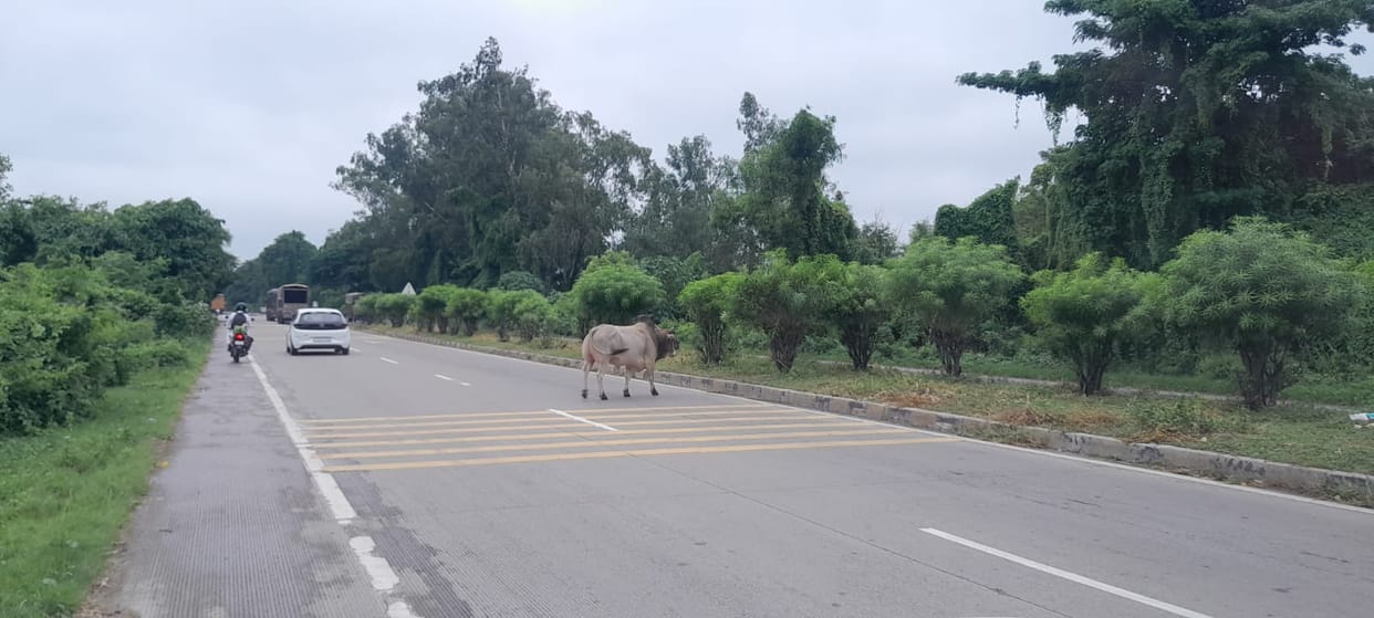 UP News: Meerut-Baghpat National Highway will be closed after two days, route diversion will remain