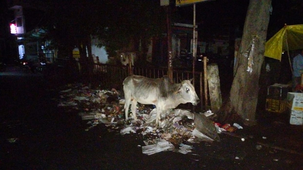 Sagar News Dirt spread everywhere in Deori garbage vehicles stopped working