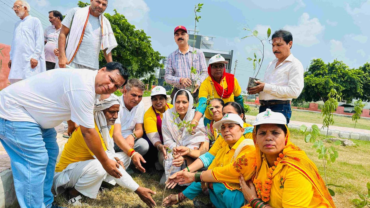 Chairperson Saroj Rathi planted saplings in Sector-2