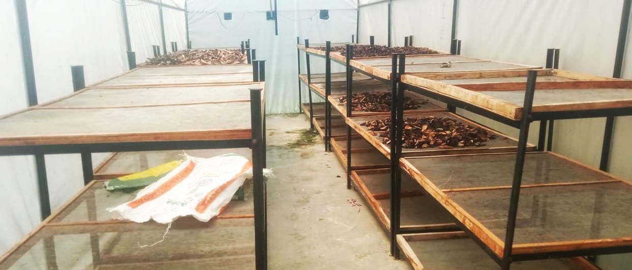 Women Empowerment: Coriander from Terai is enhancing the taste of vegetables in Indore
