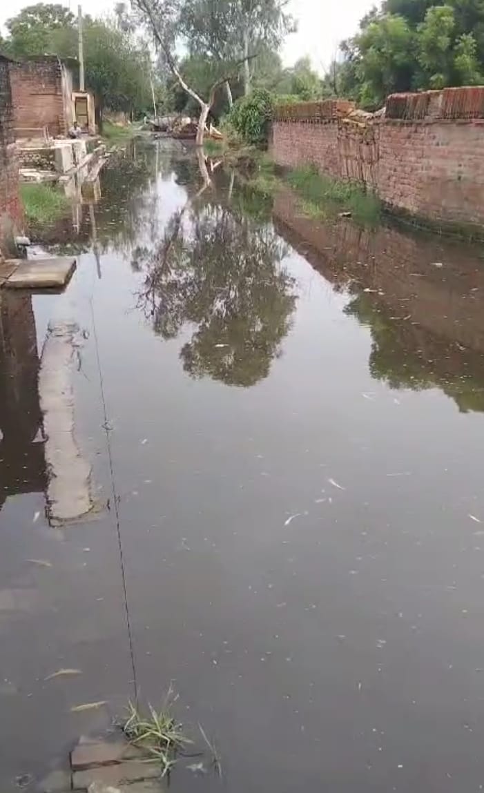 Waterlogging in the streets, fear of disease spread, villagers worried