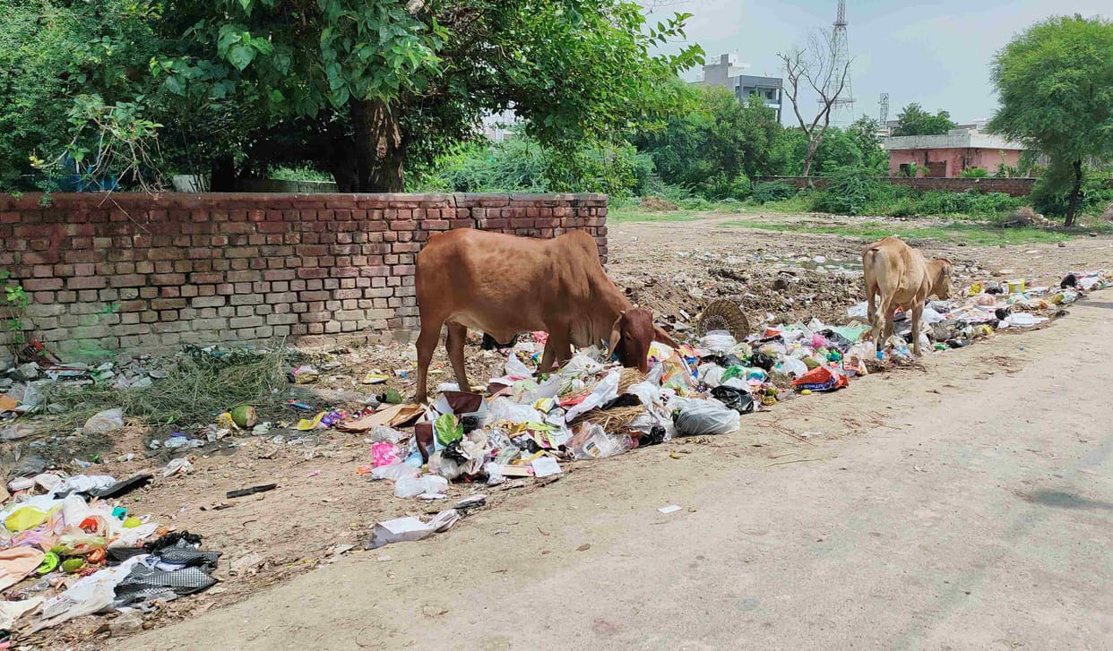 Meerut: Garbage will be collected at night, roads will be found sparkling in the morning, action will be taken