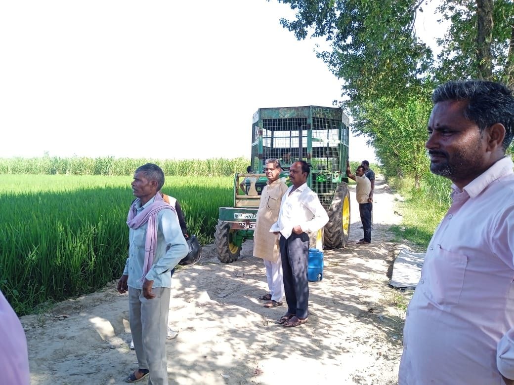 Tiger's location found between Gharathaniya village and Sarayan river
