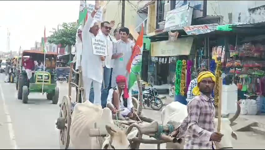 Damoh News Congress bullock cart journey demanding increase in support price of soybean