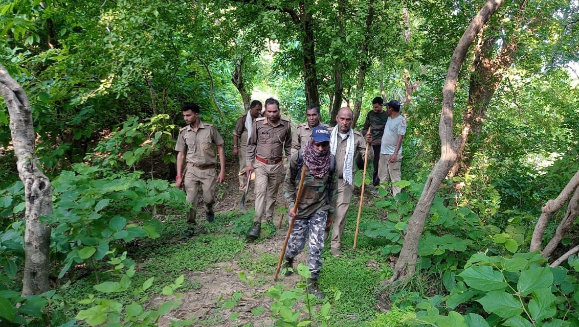 Nine tigers seen in Kalagarh area, security of population a big challenge